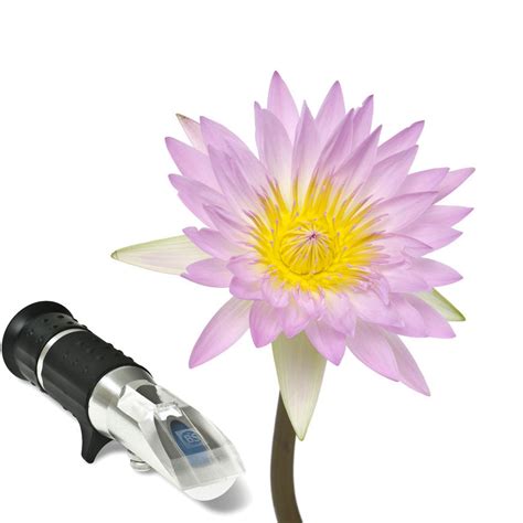 nectar refractometer|Eclipse low volume refractometer .